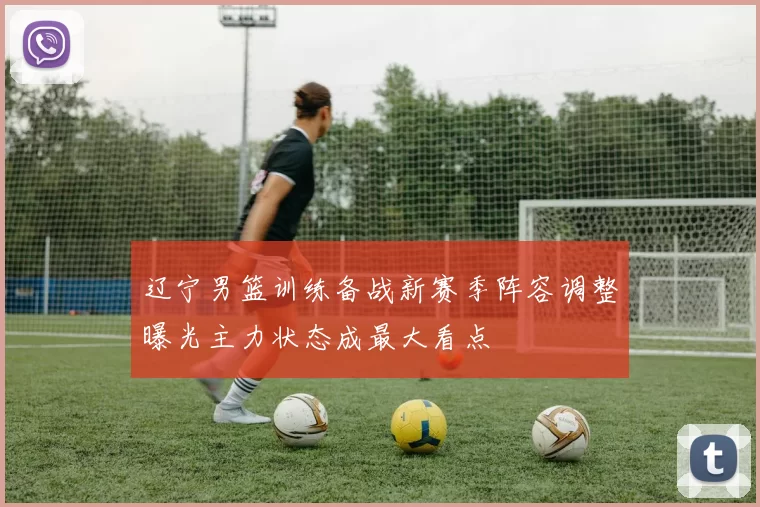 辽宁男篮训练备战新赛季阵容调整曝光主力状态成最大看点