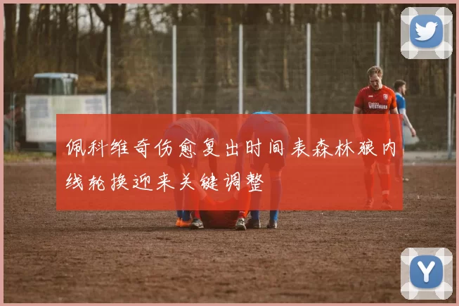 佩科维奇伤愈复出时间表森林狼内线轮换迎来关键调整