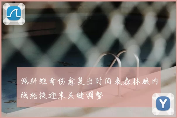 佩科维奇伤愈复出时间表森林狼内线轮换迎来关键调整